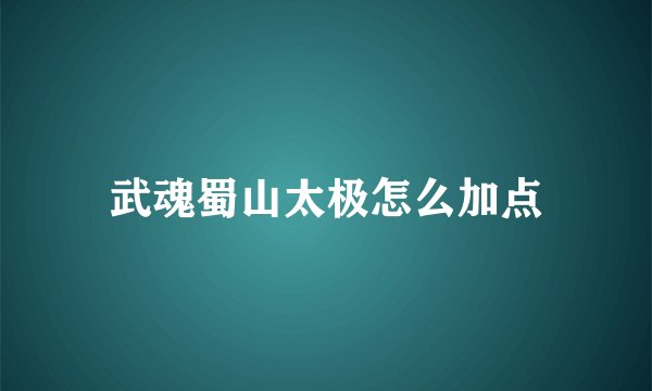 武魂蜀山太极怎么加点
