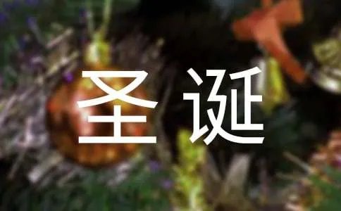 圣诞节日记