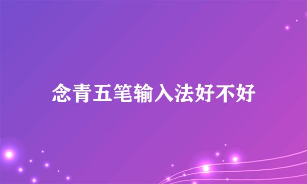 念青五笔输入法好不好
