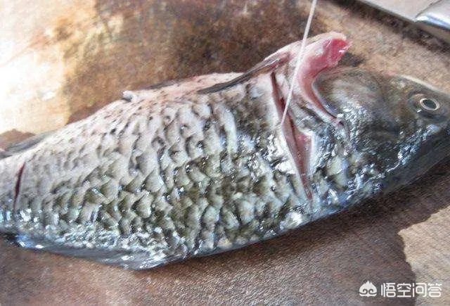 怎样熬鲫鱼汤?