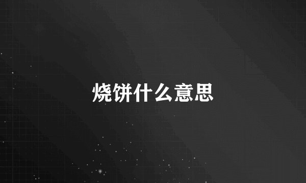 烧饼什么意思