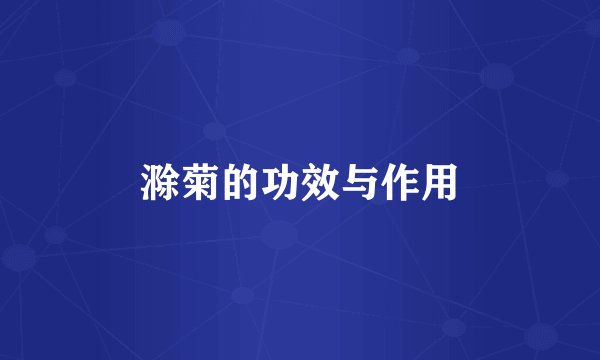 滁菊的功效与作用