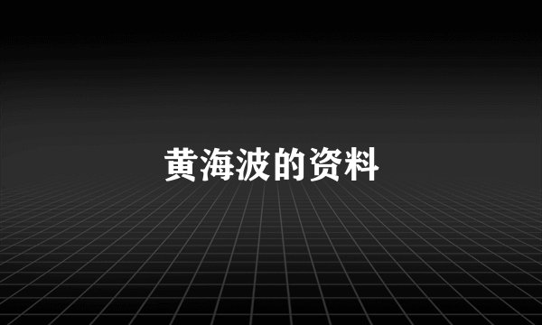 黄海波的资料