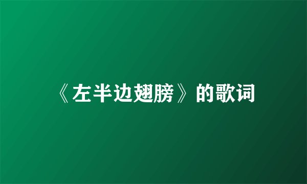 《左半边翅膀》的歌词