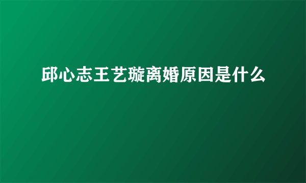 邱心志王艺璇离婚原因是什么
