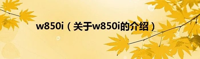 w850i(关于w850i的介绍)