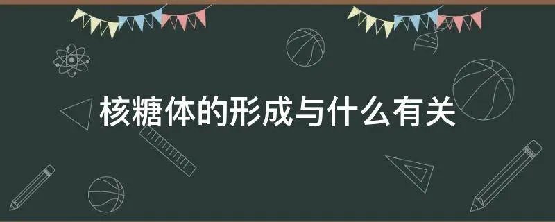 核糖体的形成与什么有关
