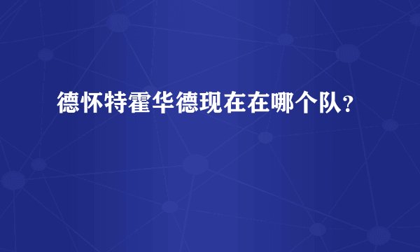 德怀特霍华德现在在哪个队？