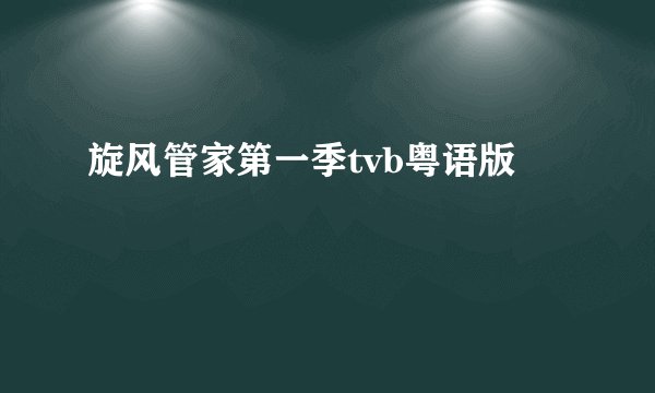 旋风管家第一季tvb粤语版