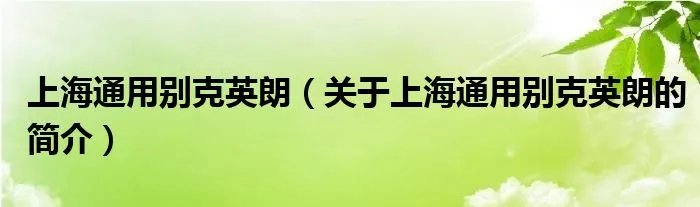 上海通用别克英朗（关于上海通用别克英朗的简介）