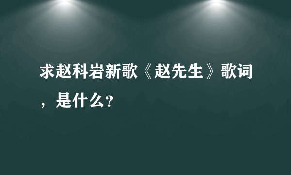 求赵科岩新歌《赵先生》歌词，是什么？