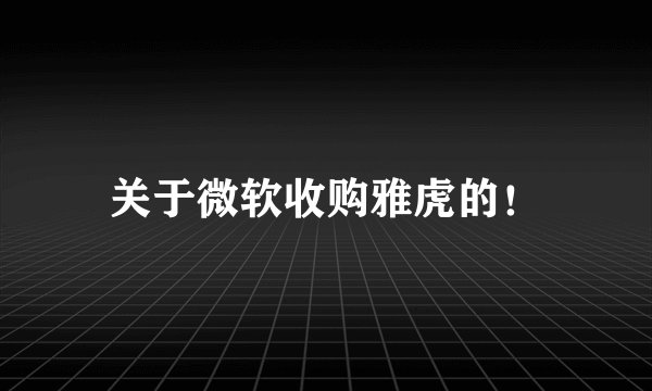 关于微软收购雅虎的！