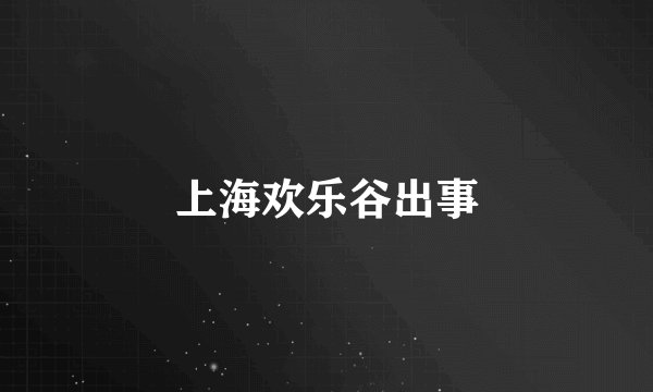 上海欢乐谷出事