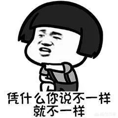 什么是套牌车?