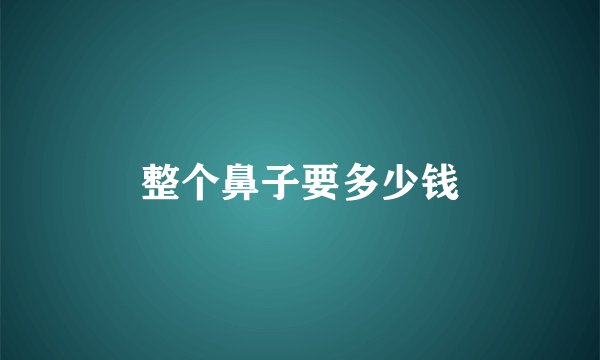 整个鼻子要多少钱