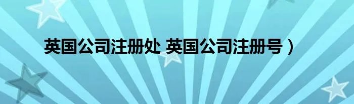 英国公司注册处 英国公司注册号）