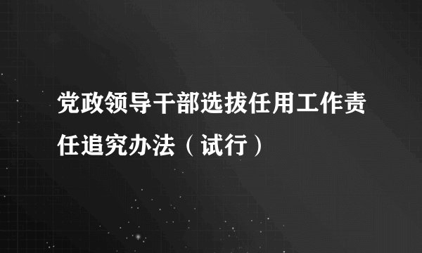 党政领导干部选拔任用工作责任追究办法（试行）