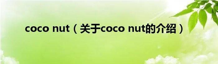 coco nut（关于coco nut的介绍）