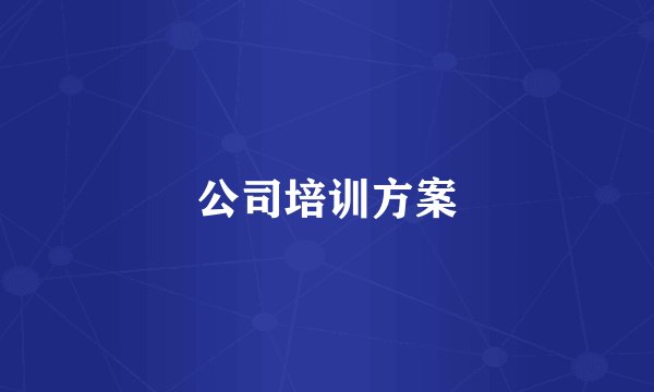 公司培训方案
