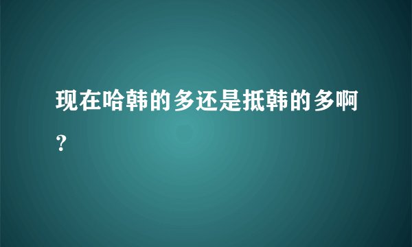 现在哈韩的多还是抵韩的多啊?