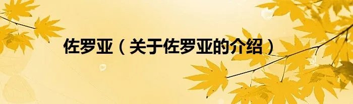 佐罗亚（关于佐罗亚的介绍）