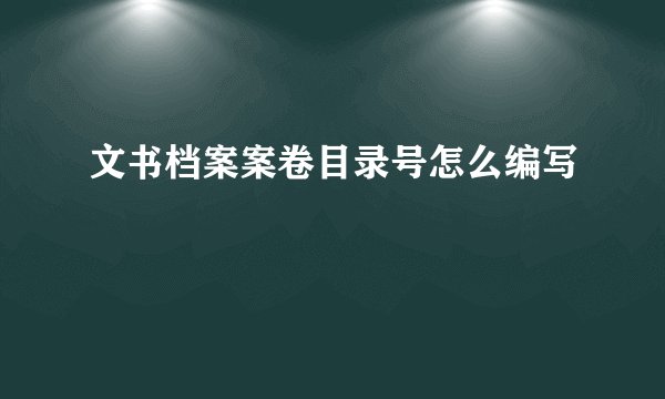 文书档案案卷目录号怎么编写