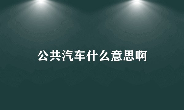 公共汽车什么意思啊