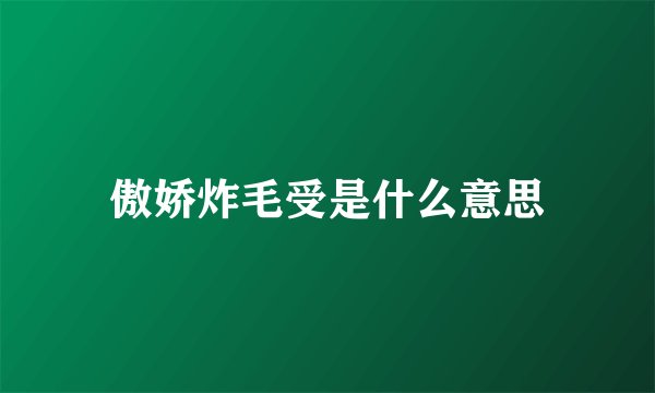 傲娇炸毛受是什么意思
