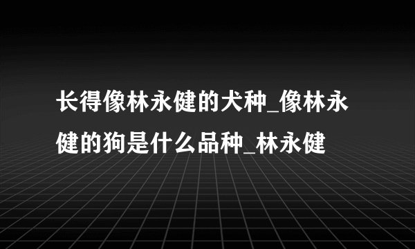 长得像林永健的犬种_像林永健的狗是什么品种_林永健