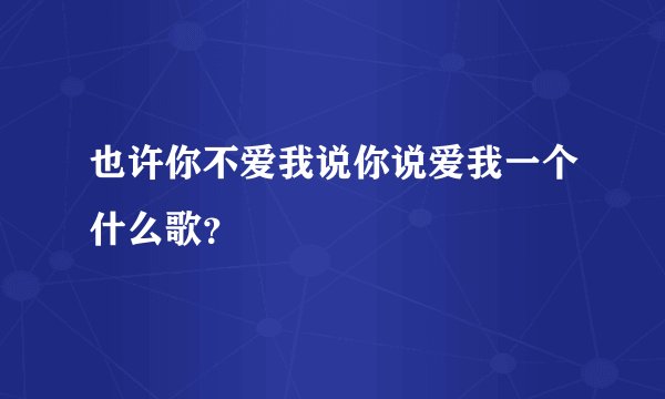 也许你不爱我说你说爱我一个什么歌?