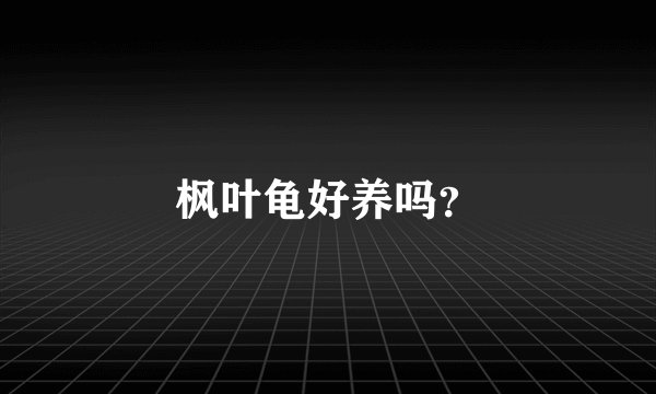 枫叶龟好养吗？