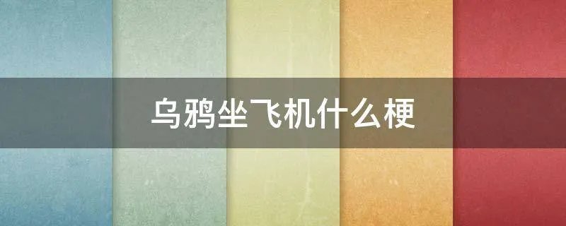 乌鸦坐飞机什么梗