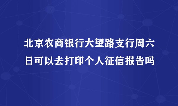 北京农商银行大望路支行周六日可以去打印个人征信报告吗