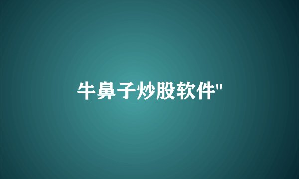 牛鼻子炒股软件