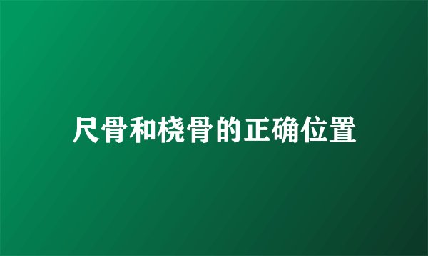 尺骨和桡骨的正确位置