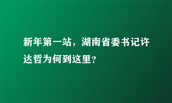 新年第一站,湖南省委书记许达哲为何到这里?