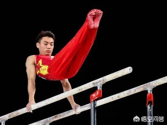 你怎么看全国体操锦标赛中,男子双杠的决赛成了冯敬园一个人表演的舞台?