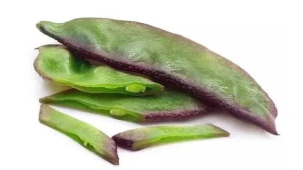 豆子有多少种