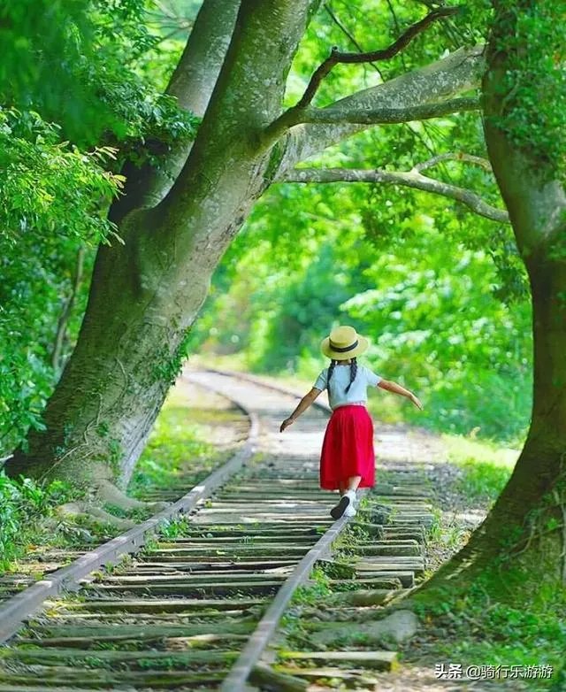 开车旅行是什么感觉呢？
