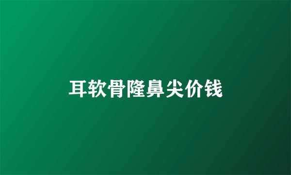 耳软骨隆鼻尖价钱