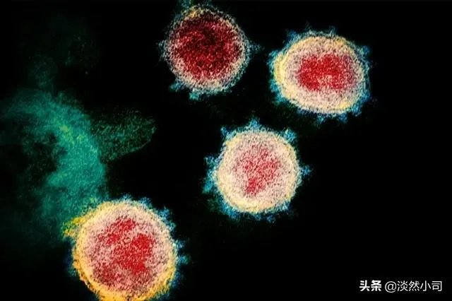 美国2月6日的新冠肺炎死亡病例,是美国至今发现最早的病例吗?这对美国疫情防控将有何影响?