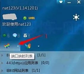 3322动态域名