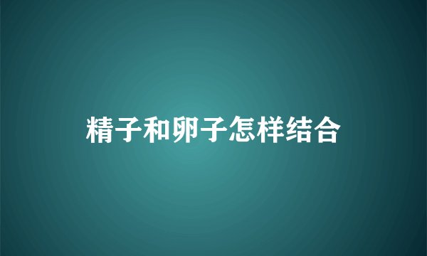 精子和卵子怎样结合