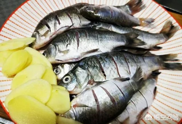 怎样熬鲫鱼汤?