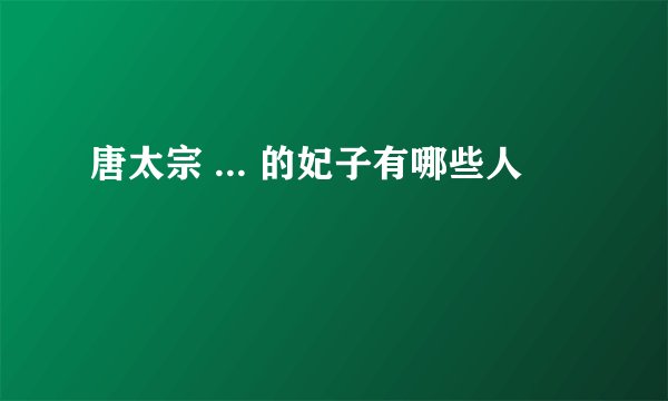 唐太宗 ... 的妃子有哪些人