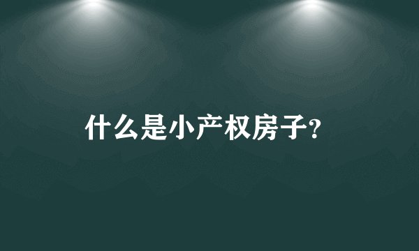 什么是小产权房子？