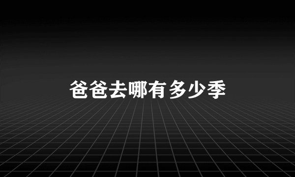 爸爸去哪有多少季