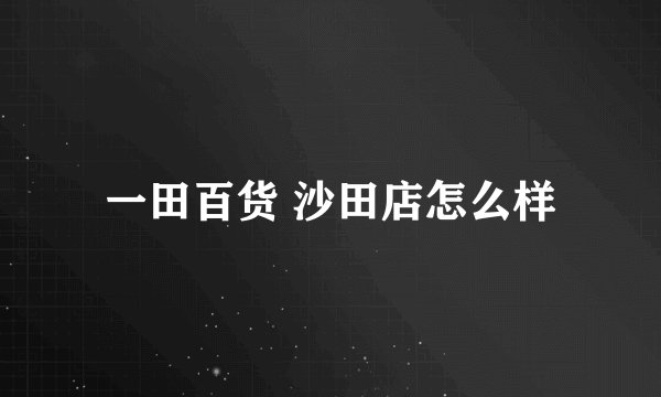 一田百货 沙田店怎么样