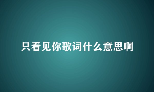 只看见你歌词什么意思啊