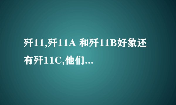 歼11,歼11A 和歼11B好象还有歼11C,他们之间有什么区别?